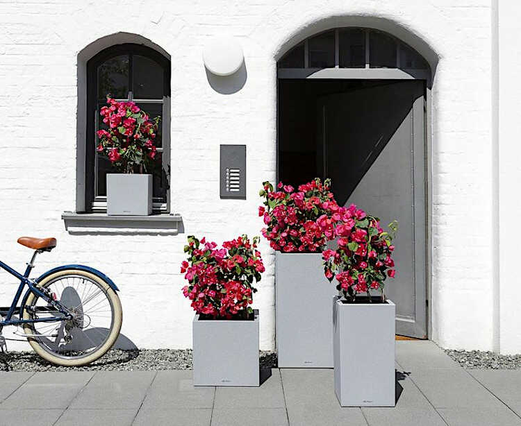 Composition with CANTO Stone Planters